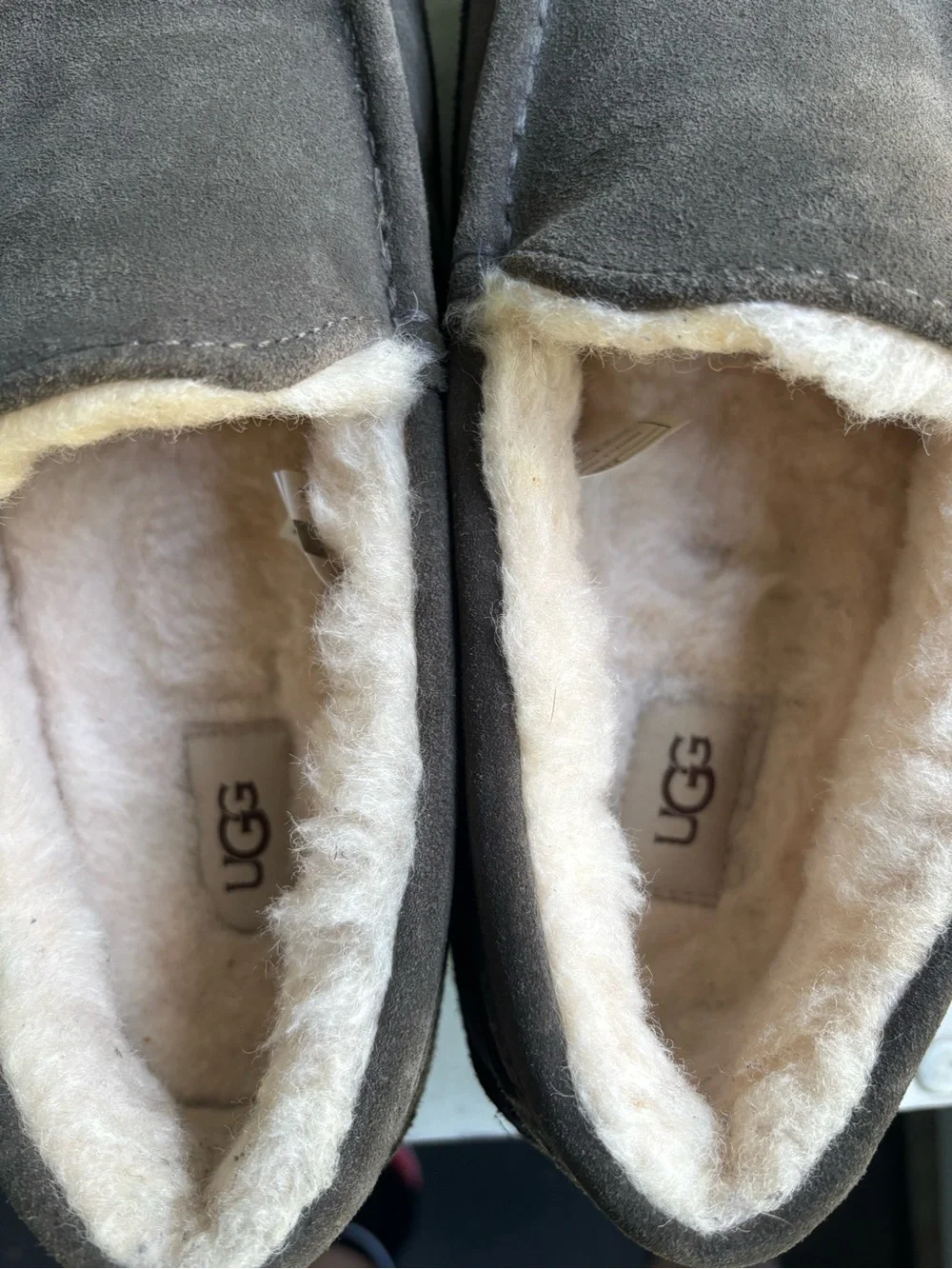 UGG soft suede